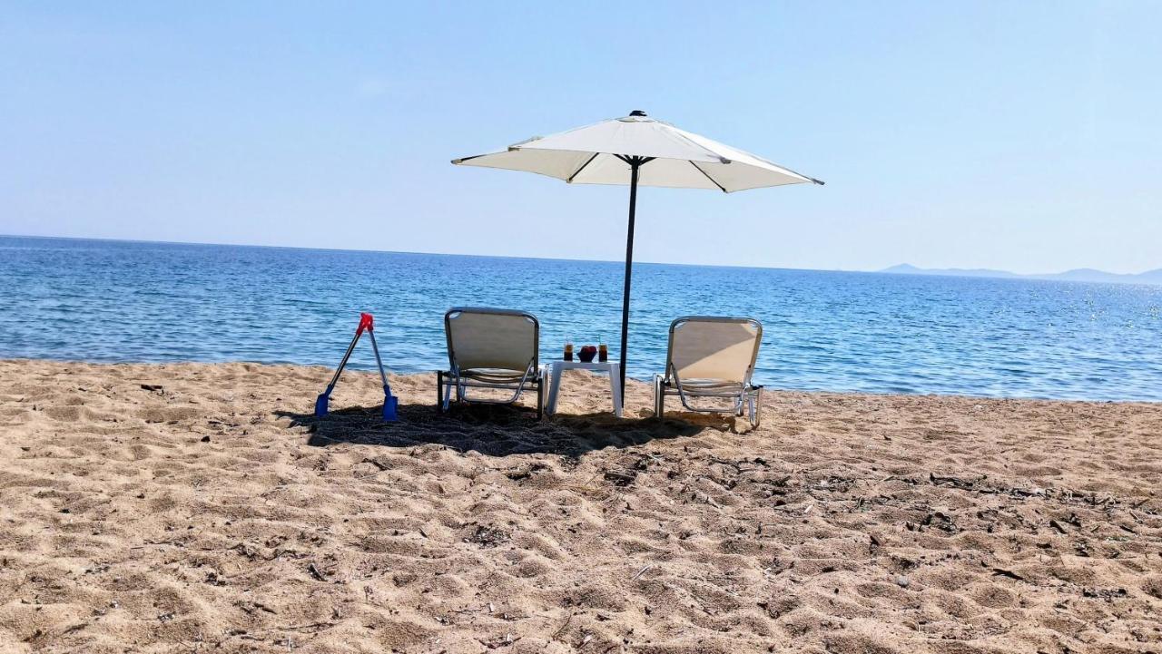 이에리소스 Xd Al Mare 빌라 외부 사진